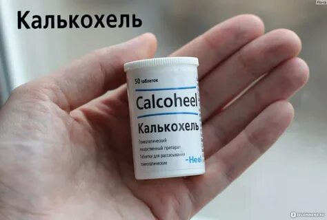 Калькохель отзывы