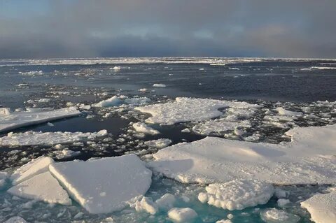 Где полярное море