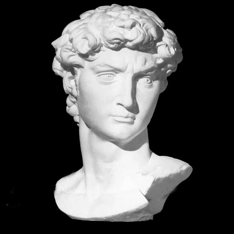 Голова на греческом. Бюст Давида Микеланджело. Мраморный бюст Аполлона.