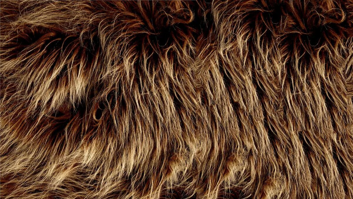 Меховая шерсть. Выпутавшееся из густого меха. Меховые шубы женские. Шерсть енота. Густой мех.