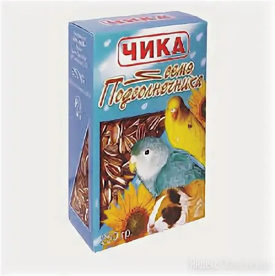чика омск
