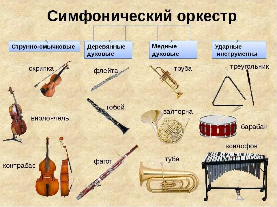 Вопросы симфонического оркестра. Струнно смычковые деревянные духовые медные инструменты. Струнные смычковые деревянные духовые медные духовые ударные. Инструменты духовой группы симфонического оркестра. Струнные деревянные духовые медные духовые ударные.