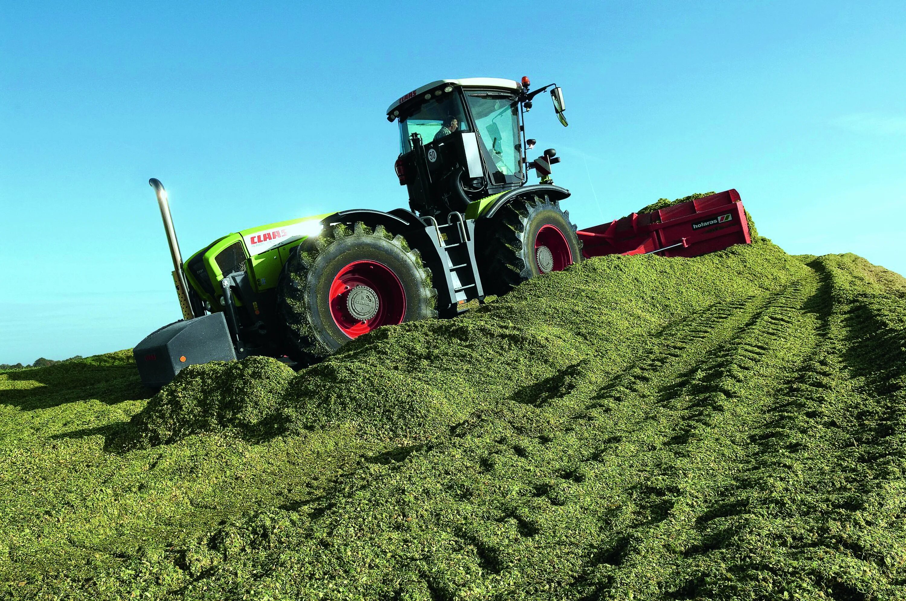 Производство сена. Трактор CLAAS заготовка силоса. Силос кукурузный. Силосование кукурузы. Кормозаготовка силос.