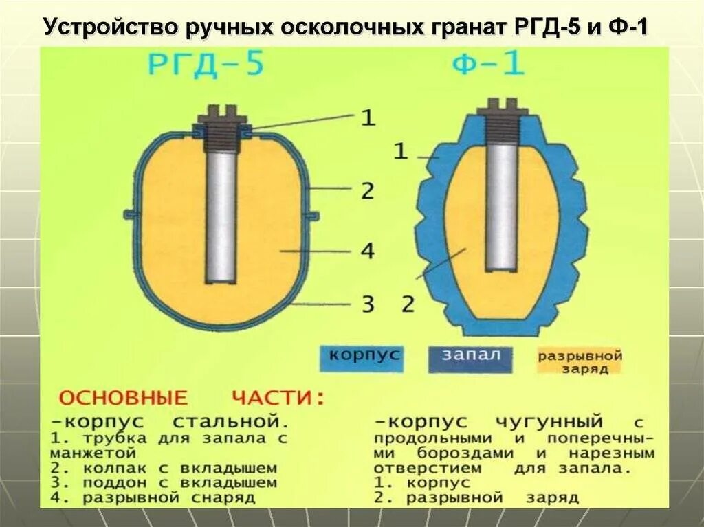 Устройство ручной осколочной гранаты РГД-5.. Устройство ручных осколочных гранат РГД 5. Устройство гранаты РГД 5 И ф1. Устройство гранаты РГД Ф-1.