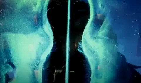 Reveal 7