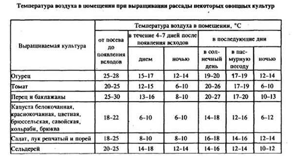 Какую температуру выдерживает рассада помидор. Температурный график для выращивания рассады томатов. Оптимальная температура для рассады томатов в теплице. Оптимальная температура для выращивания томатов в теплице. Температурный режим для томатов в теплице из поликарбоната.