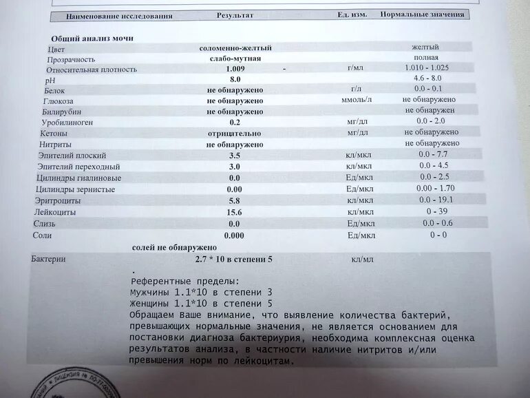 Норма лейкоцитов 3 триместр. Норма лейкоцитов в моче 3 триместр. Эритроциты в моче при беременности норма. Норма лейкоцитов в моче у беременных в 3 триместре. Норма эритроцитов в моче у беременных.