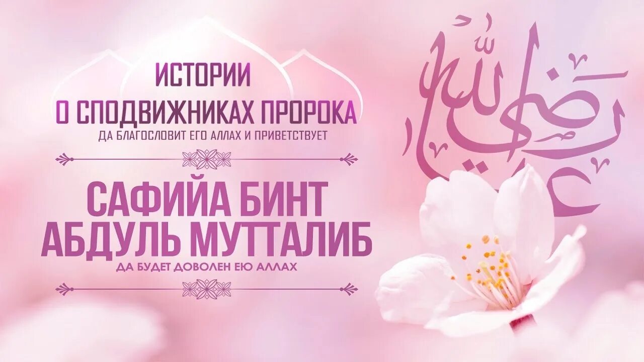 История жен пророков. Сафия жена пророка мухаммада. имена сподвижниц пророка. имена жён пророков и сподвижников. имена сподвижниц мусульманские.