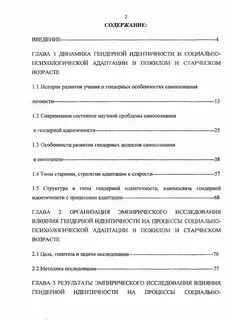 Адаптация лиц пожилого возраста