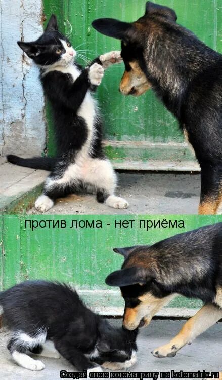 Против лома нет приема. Против лома нет. против лома нет приема картинка. протифь. лом. нет. прием.. против лома нет приема если нет другого лома.