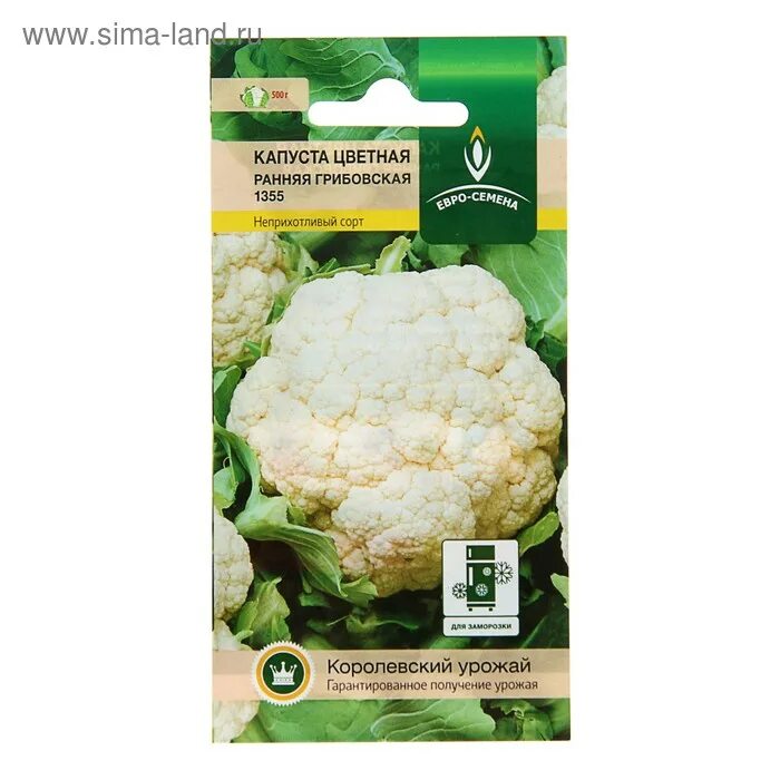 Цветная капуста грибовская 1355. Гавриш капуста сугроб цветная. Описание сорта цветной капусты. Рассада капусты сноуболл. Капуста гигант f1.
