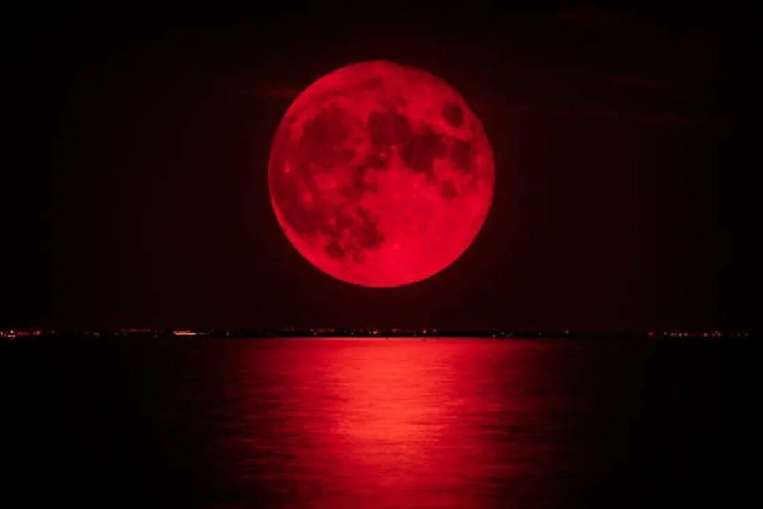 Затмение 8 апреля 2025 года в казахстане. Кровавая луна / bloodmoon (1997). кровавая луна 2025. затмение луны 8 ноября 2025. лунное затмение кровавая луна.