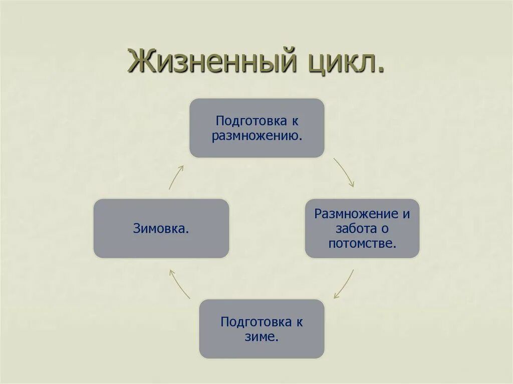 Годовой жизненный цикл пресмыкающихся кратко. Годовой жизненный цикл млекопитающих. Годовой жизненный цикл рептилий кратко. Годовой жизненный цикл пресмыкающихся схема.