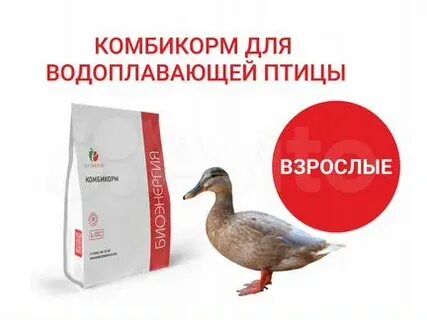 Саратовский комбикорм