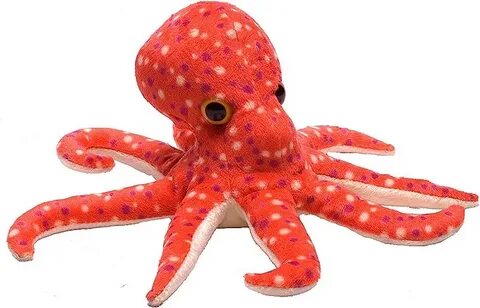 Мягкого осьминога