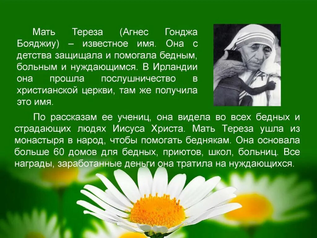 Доклад про маму. Доклад про маму