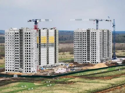Лесная мелодия 3 тверь