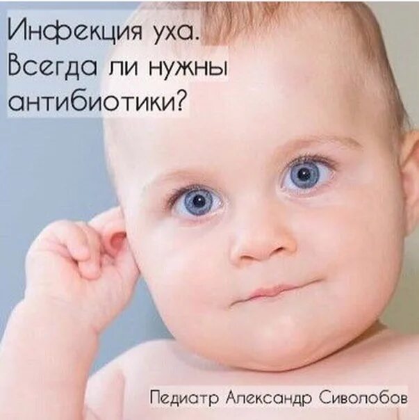 Ребенок 6 месяцев чешет уши. Ребенок теребит уши 1 год. Ушная раковина новорожденного. Ребенок 9 месяцев расчесывает уши. Ребенок 6 месяцев чешет уши.
