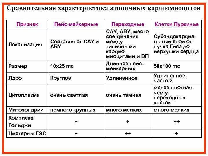 Показатели свойств ткани таблица технология 7 класс фото - PwCalc.ru