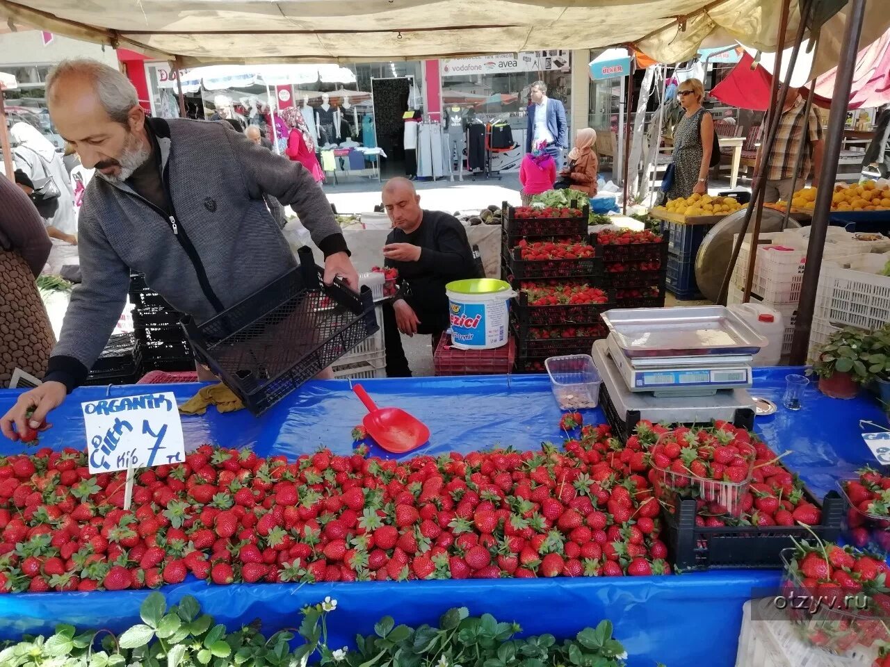 Заказать из турции в россию. Рынок в Алании Турция. Центральный рынок Алании. Что привезти из Турции. Оптовый рынок Мерсин Турция.