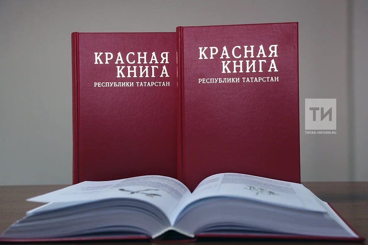 Книга республика россия