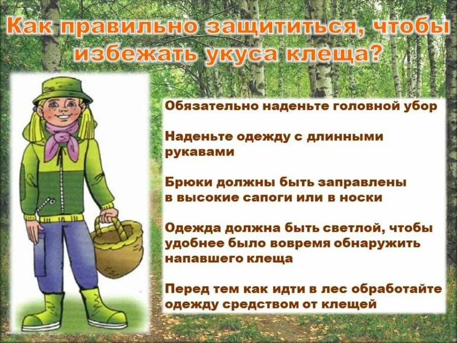 Которые необходимо соблюдать во время