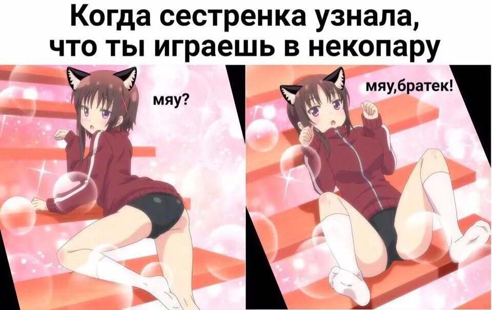 Отсосешь узнаешь