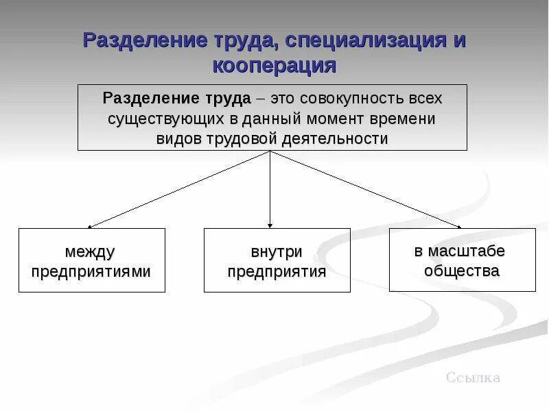 Какова роль разделения. Общественное Разделение труда схема. Разделение труда специализация и обмен схема. Уровни разделения труда Обществознание. Разделение труда и специализация Обществознание 8 класс.