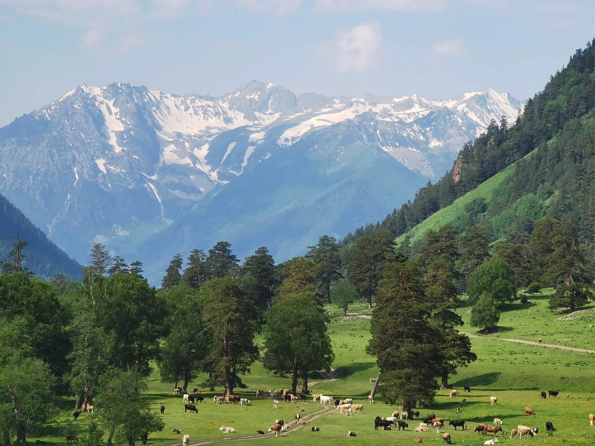 Долина махар. София карачаево черкесская республика-. Долина реки аксаут. Черкесск горы. Перевал гульбаши карачаево черкесия.