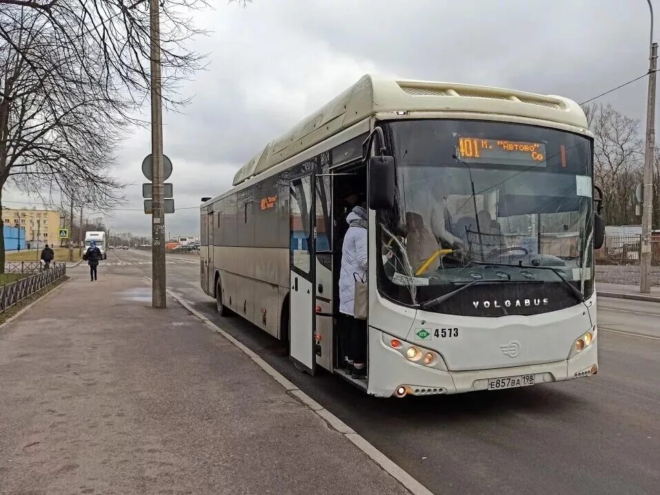 Автово Сосновый Бор 401. Автобус 401 Сосновый Бор. Маршрут 401 Сосновый Бор Санкт-Петербург. Маршрут 401 Парнас Сосновый Бор. Автобус 402 от парнаса