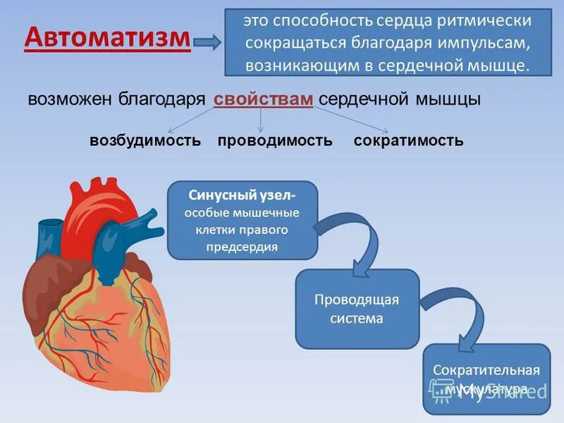 Сердечный способный