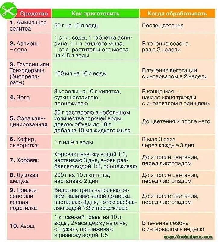 В какое время суток обрабатывать от тли