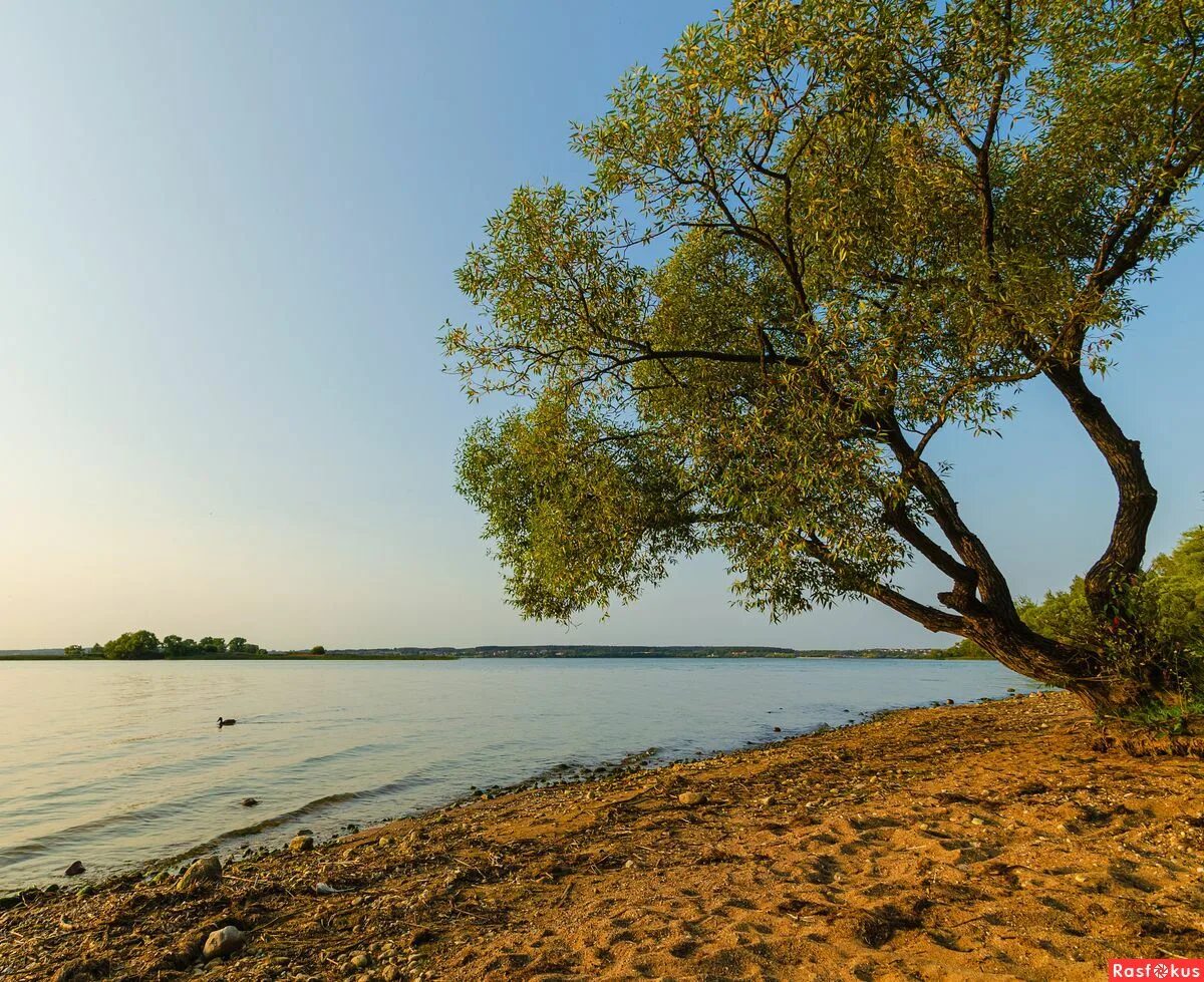 Заславское водохранилище. Заречье 1 минское море. Минское море отзывы. Беларусь заславское водохранилище. Минское море в белоруссии.