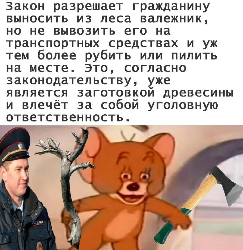 закон озборевалежника. закон о валежнике 2023 года. закон о валежнике 2023 года. закон о валежнике 2023 года. валежник разрешили собирать.