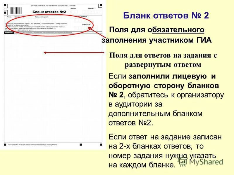 Форма статическо йотчетности. Правило обязательного заполнения экологических ниш. Бланк егэ русский 2023. Экологические ниши примеры. Назовите способы изготовления бланков.