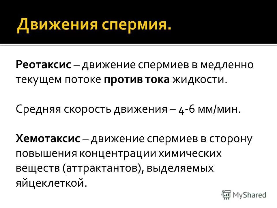скорость движения сперматозоидов. скорость сперматозоида. контактное взаимодействие оплодотворение. путь движения сперматозоида. сперматозоид состоит из.