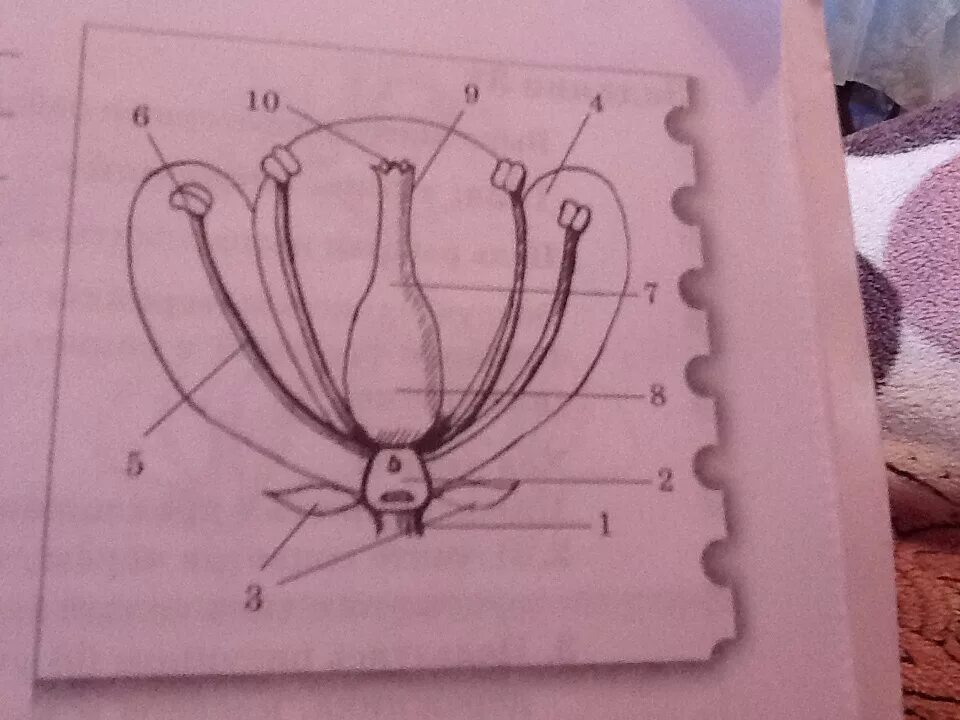 Используя рисунок 100