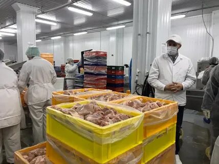 Агропромышленный и рыбохозяйственный комплекс