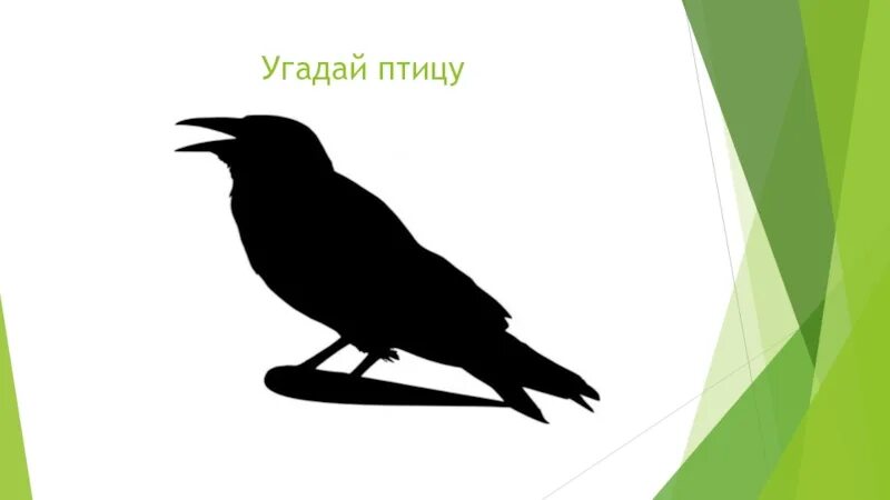 Игра угадай птицу. Узнай птицу по силуэту. тени зимующих птиц. зимующие птицы по силуэту. угадай птицу по силуэту.