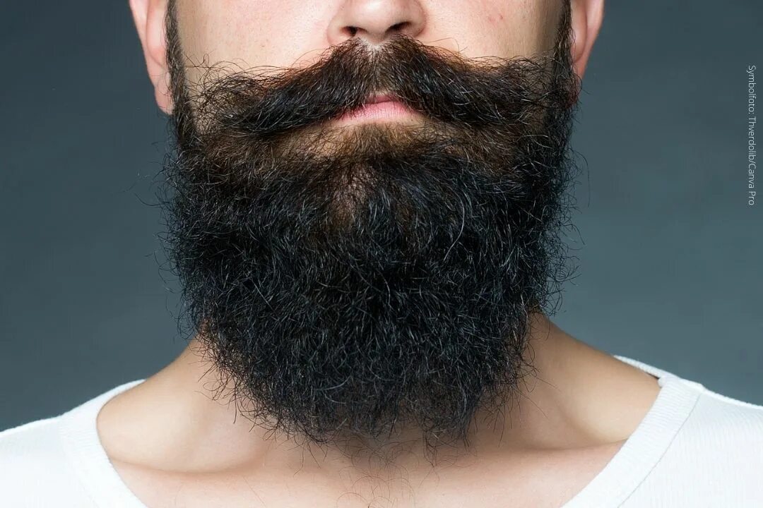 Бородка на лице. Борода. Пышная борода. Мужская борода. Мужик с бородой.