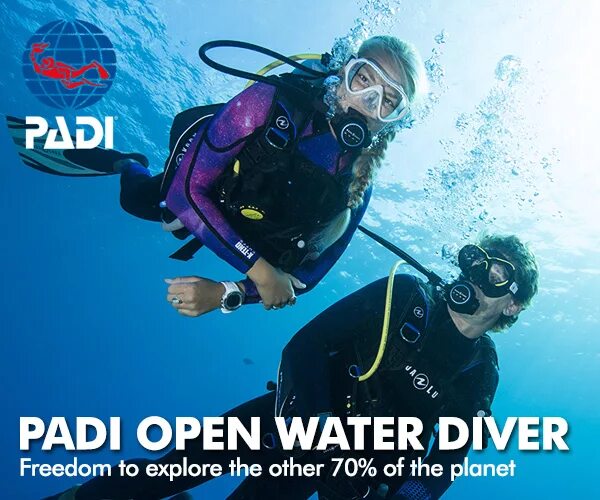 Padi open. Padi open Water Diver course 1-4. Open Water Diver сертификат. Padi OWD. Сертификат Padi open Water.