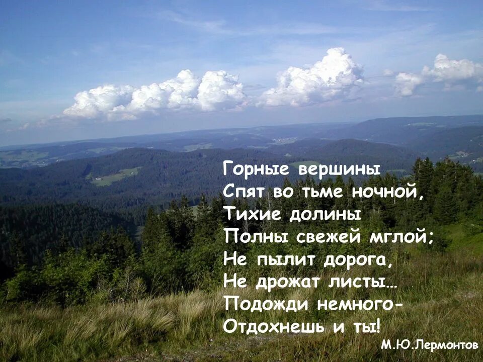 Вершина поэзии. Лермонтов тихие Долины спят во тьме ночной. Горные вершины спят во тьме ночной. Стихотворение горные вершины. Стихотворение горные вершины спят во тьме ночной.