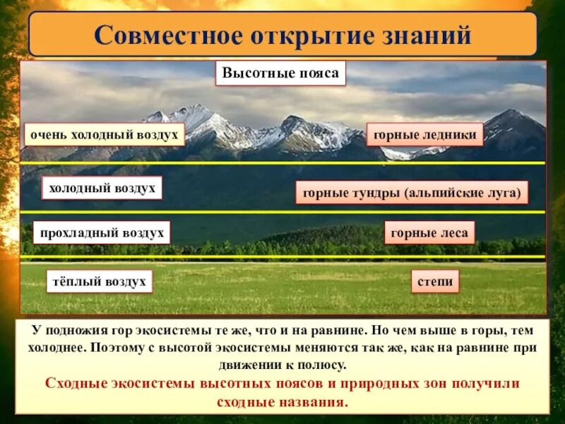 Горные экосистемы. Экосистема горы. Горные экосистемы презентация. Особенности горных экосистем. Различия между степью и тундрой