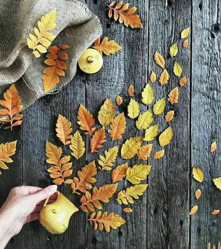 Hello autumn надпись. Продуктивная осень. Коллаж осеннее настроение. Уютная осень. Осенние листья кружка книги.