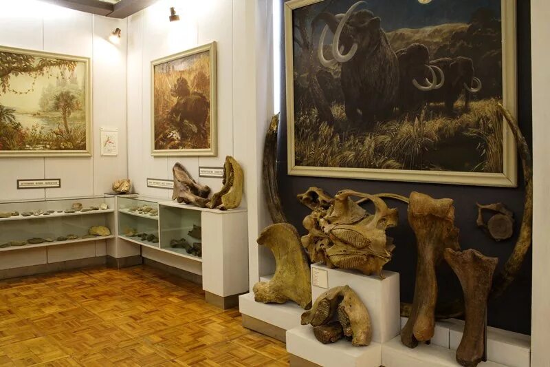 вольский краеведческий музей отзывы. ольский краеведческий музей. вольск музей краеведения. вольский краеведческий музей отзывы. вольский краеведческий музей отзывы.