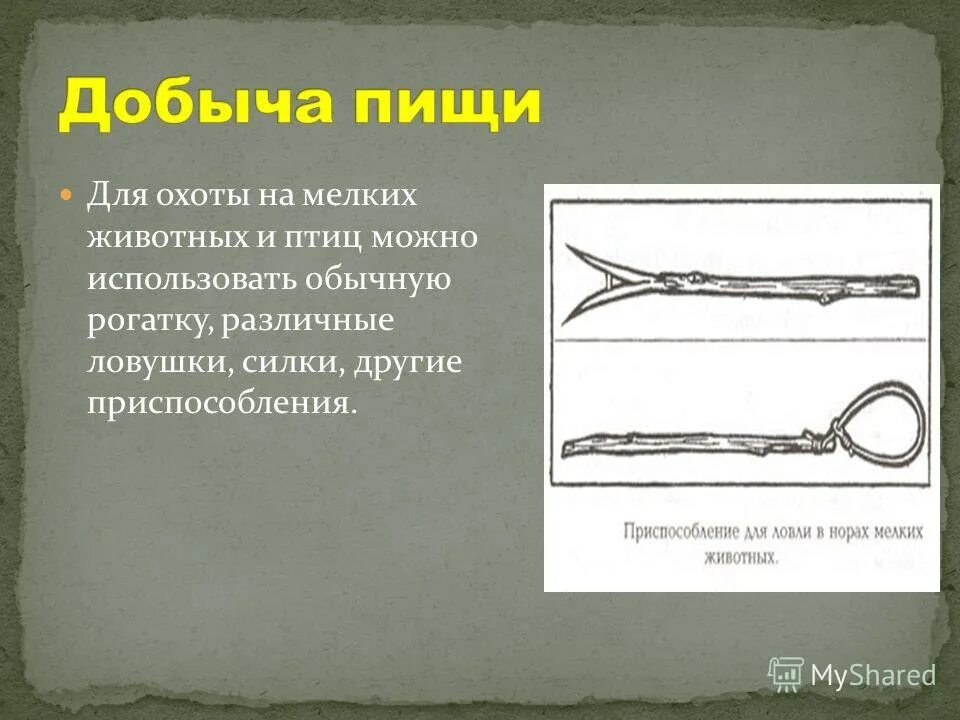 Инструменты добычи. Приспособление к добыванию пищи. Приспособления для добычи пищи. Добывание пищи охотой. Оружие использовалось для добычи пищи человеком.