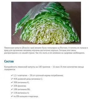 Польза пекинской капусты для организма человека