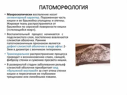 Патоморфология
