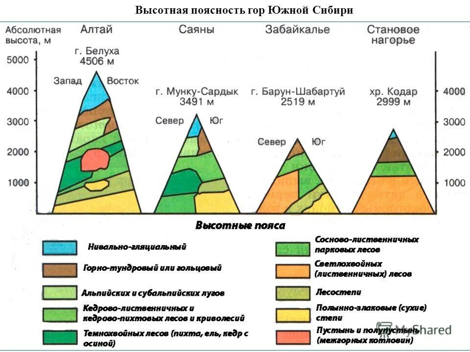 география 8 высотная поясность кавказа. высотная поясность гор россии таблица. высотная поясность гор южной сибири. структура высотной поясности алтая. структура высотной поясности алтая.