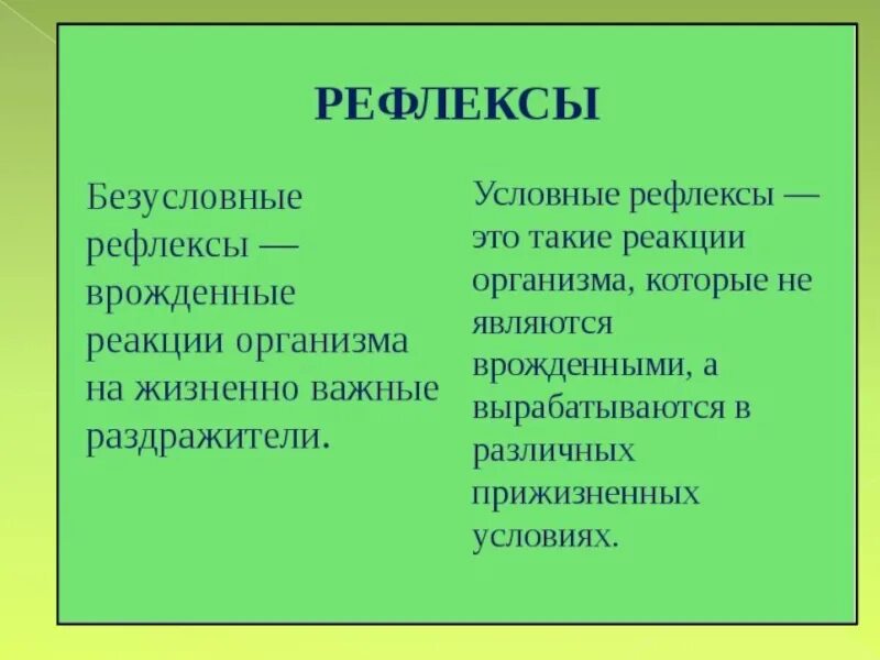 Приведите примеры условных и безусловных рефлексов